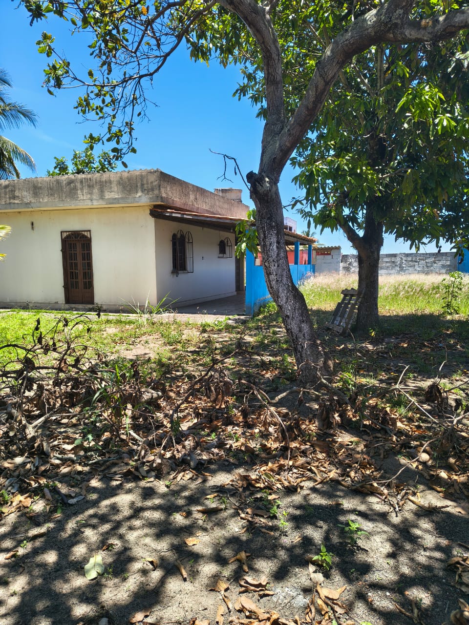 04439e51-6bee-4b19-84d4-79dd4c6c8226