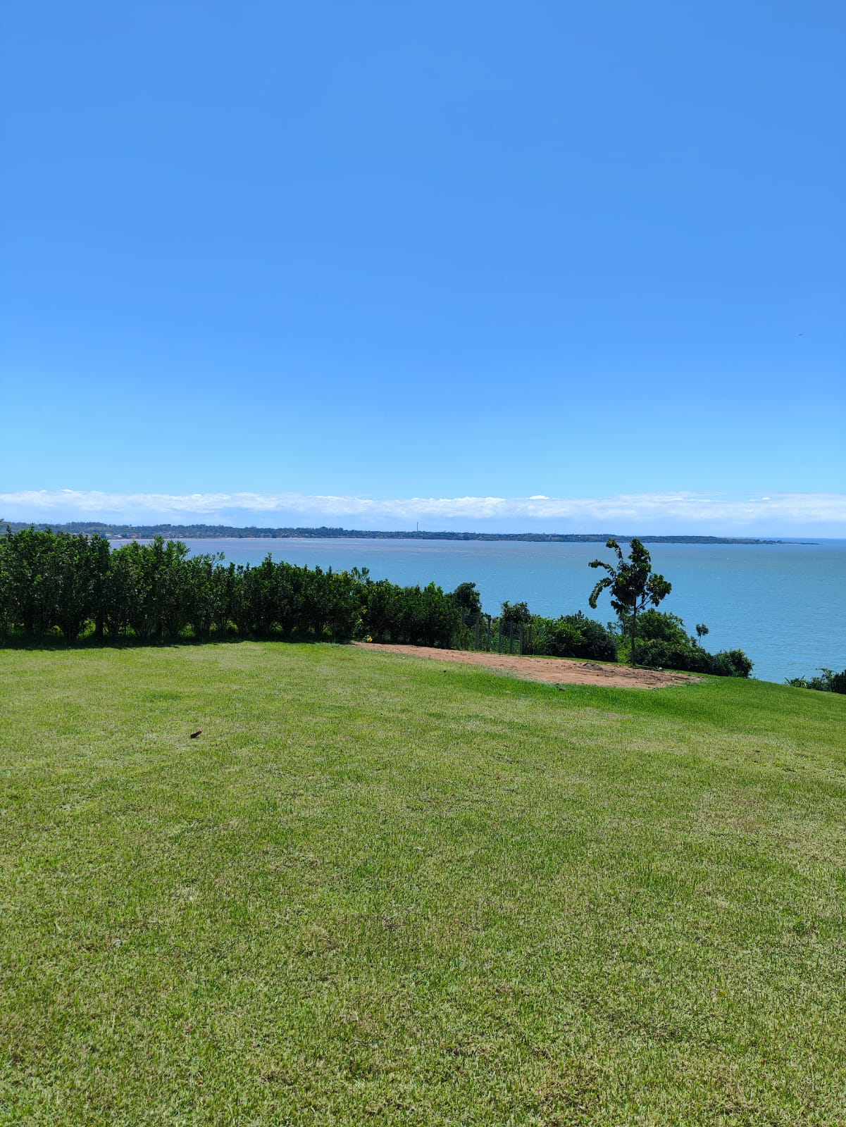 WhatsApp Image 2026-01-14 at 15.34.19 (2)